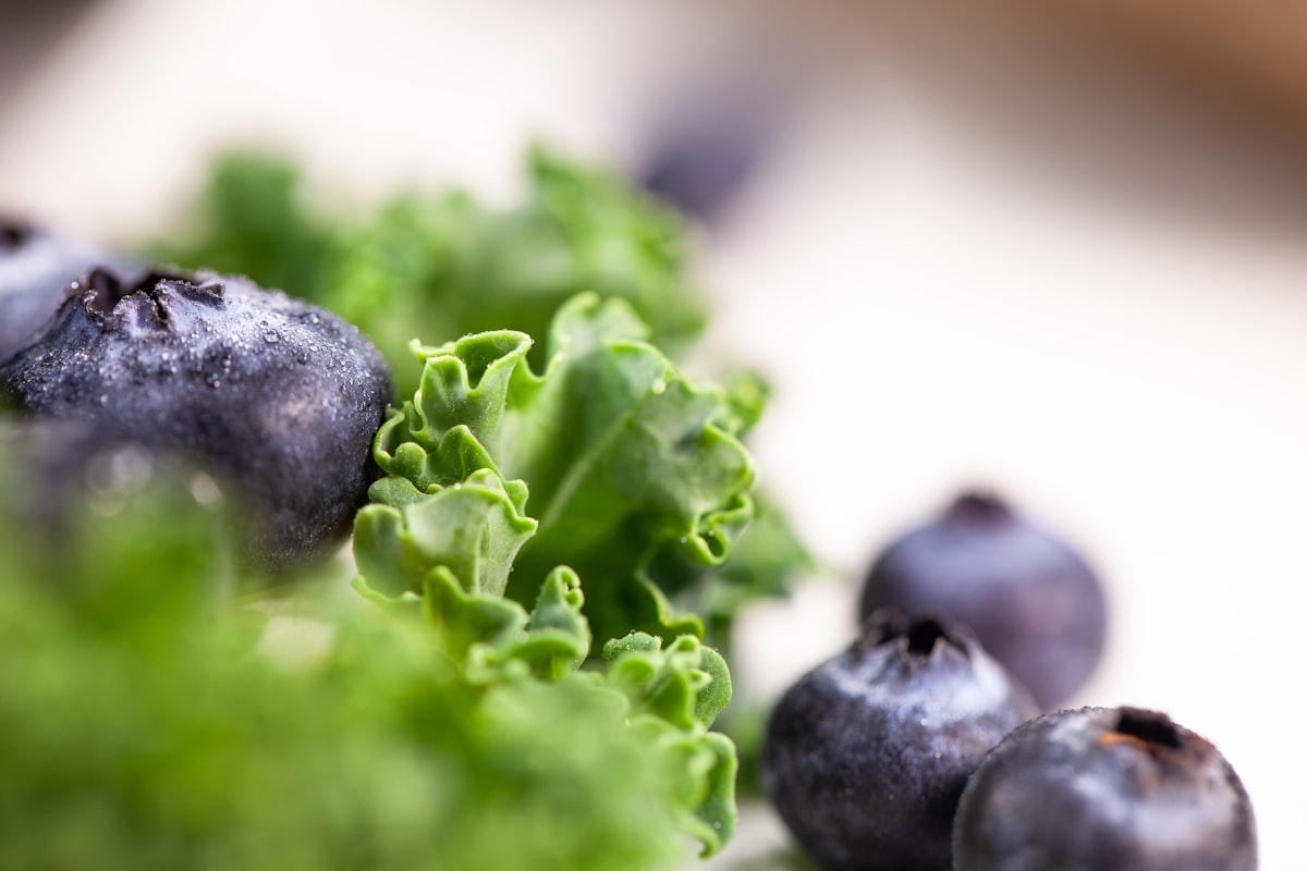 Healthy foods for eye nutrition